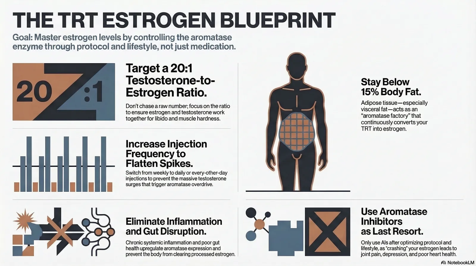 NotebookLM infographic: Estradiol on testosterone therapy